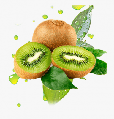 Chiết xuất kiwi