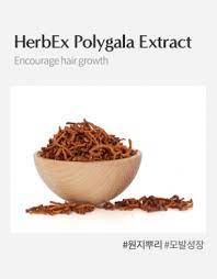 HerbEx Polygala Extract (Chiết xuất hoa viễn chí)