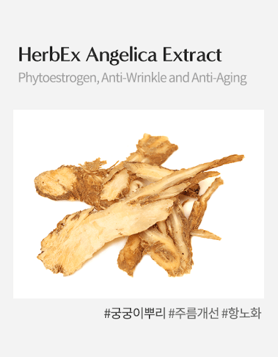 HerbEx Angelica Extract (Chiết xuất đương quy)