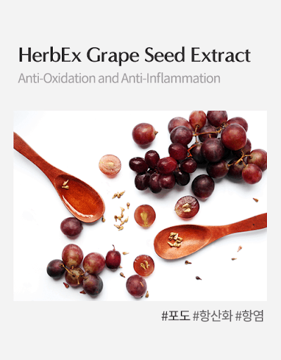 HerbEx Grape Seed Extract (Chiết xuất hạt nho)