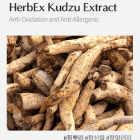 HerbEx Kudzu Extract